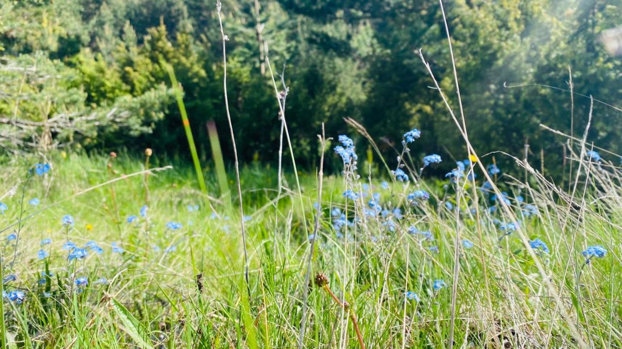 Eco Village Pavlovic Zabljak  Ngoại thất bức ảnh