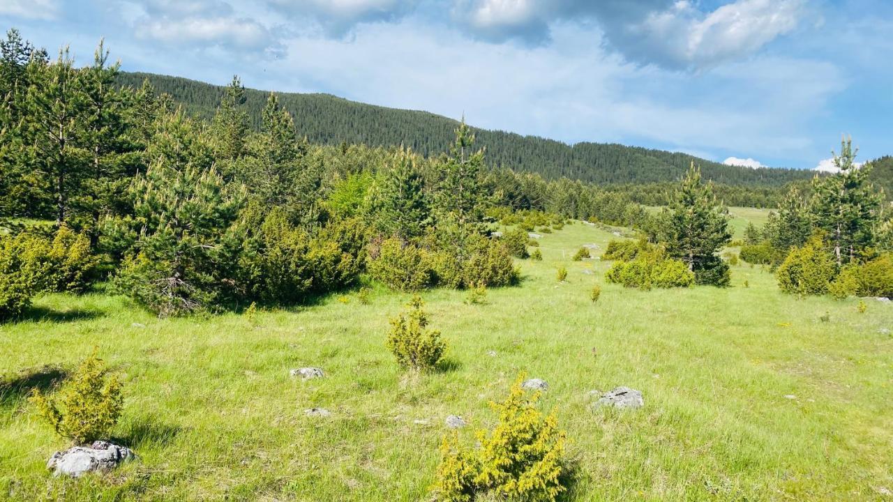 Eco Village Pavlovic Zabljak  Ngoại thất bức ảnh