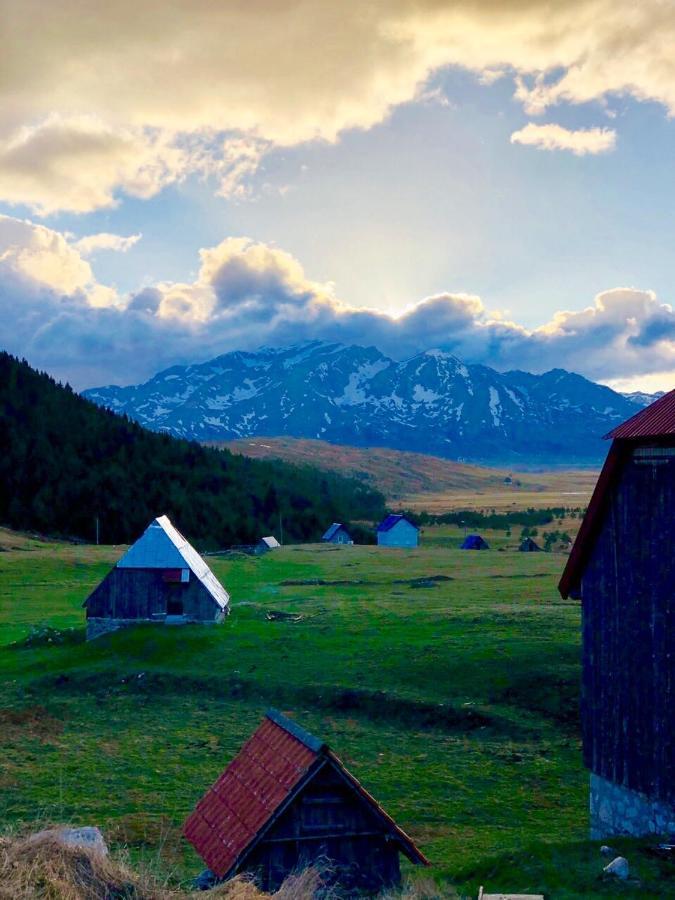 Eco Village Pavlovic Zabljak  Ngoại thất bức ảnh