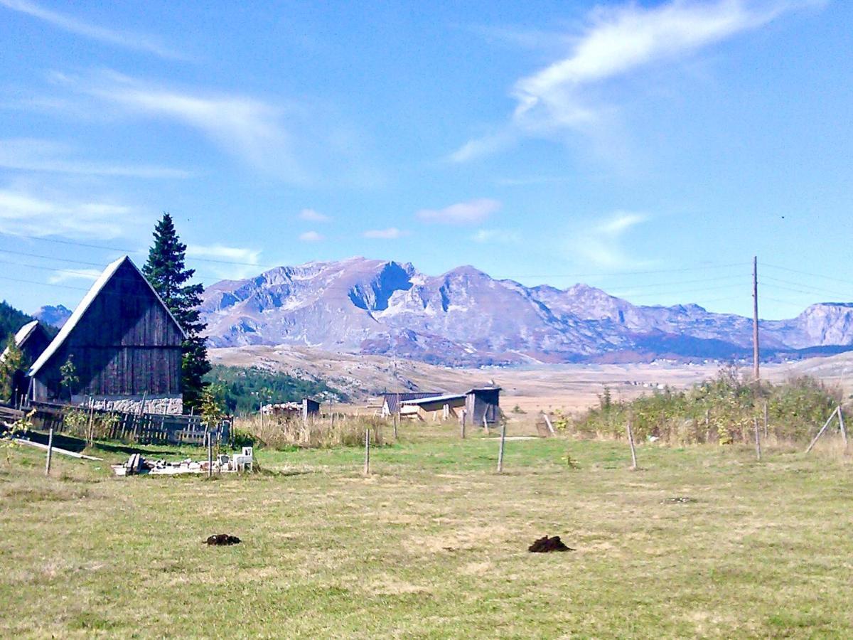 Eco Village Pavlovic Zabljak  Ngoại thất bức ảnh