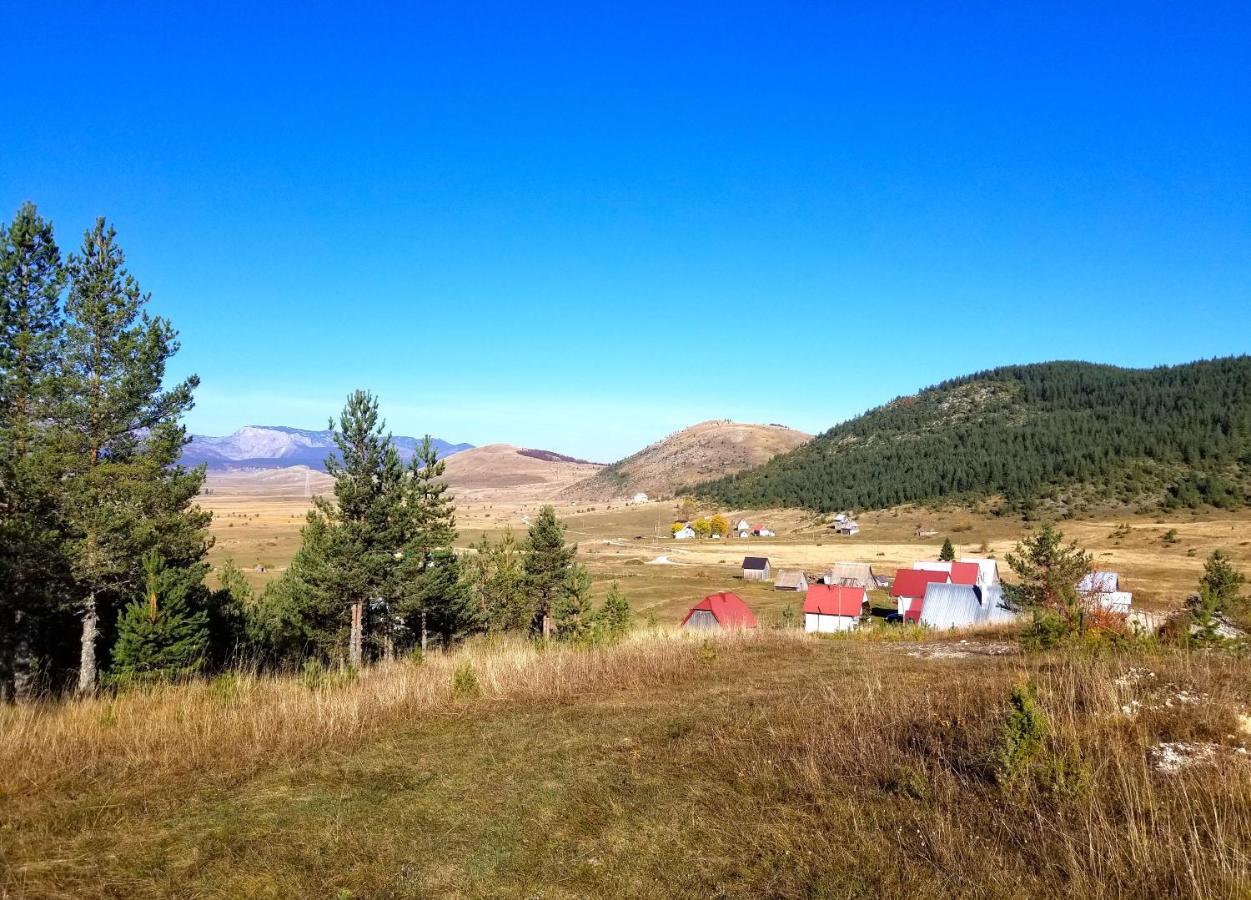 Eco Village Pavlovic Zabljak  Ngoại thất bức ảnh